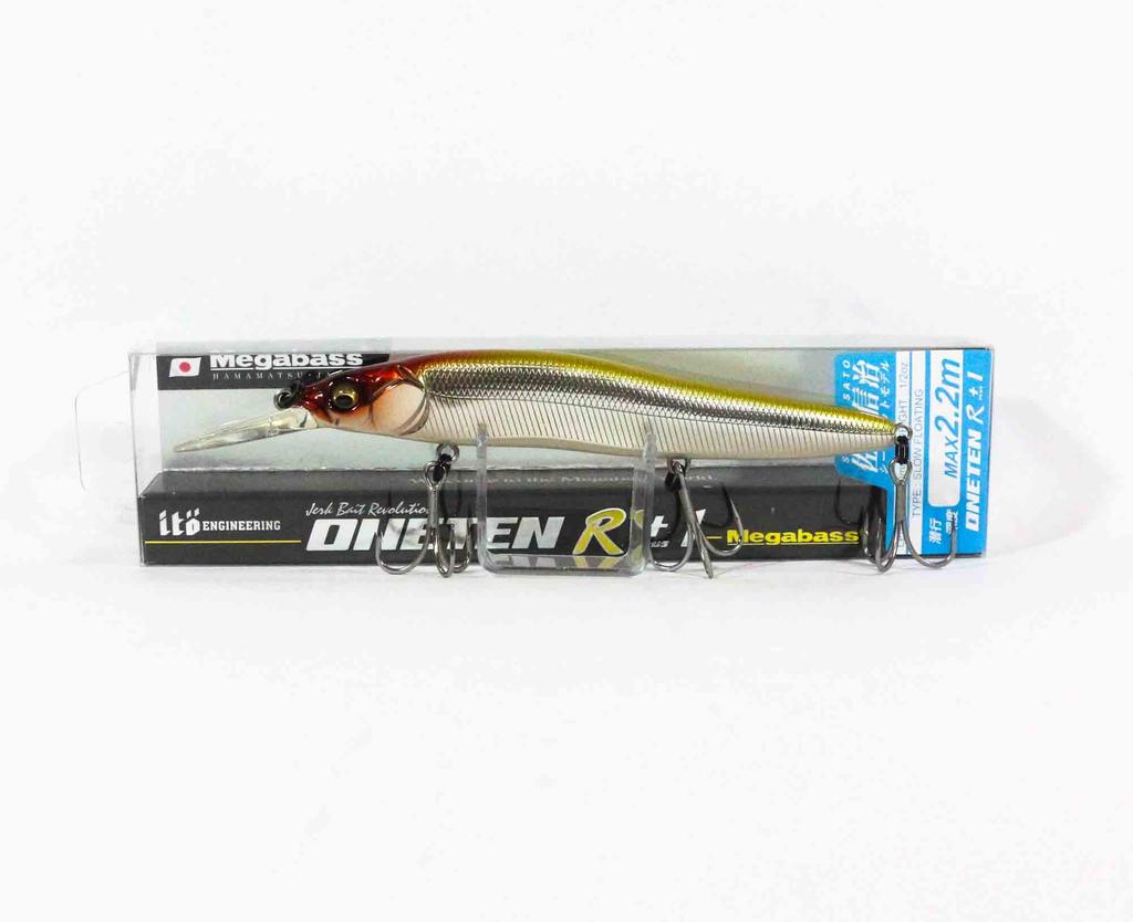 Leurre poisson nageur VISION ONETEN 110 FW - MEGABASS