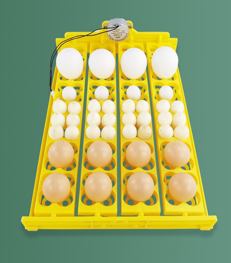 Инкубатор на 24 яйца 12В 110В 220В Лоток для яиц Автоматический переворот яиц Инкубатор для вылупления яиц перепелов гусей уток птицы
