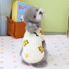 Cartoon Dog Clothes: Two-Legged Autumn & Winter Wear for Puppies, Bichon, Teddy