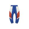 Li Ning CF Series Color Block Stricksporthose Herren Unterteile Sturmblau AYKQ807-2