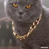 Cat Necklace Dog Chain Corgi Teddy Bully Gold Chain Fashion Accessories Pet Necklace