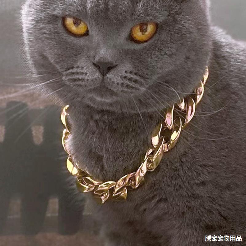 Cat Necklace Dog Chain Corgi Teddy Bully Gold Chain Fashion Accessories Pet Necklace