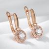 Simple  Rose Gold Color Round Dangle Earrings For Women Luxury Natural Zircon Accessories Bride Wedding Fine Jewelry