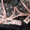 European & American Cross-Border Women's Sexy Bra Set with Card Pattern Embroidery, Transparent Lace, and Underwire Push-Up Design.