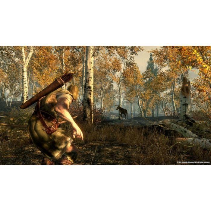 The Elder Scrolls V: Skyrim • Jeu Nintendo Switch