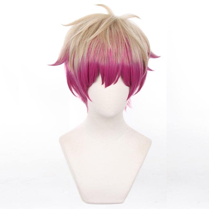 LVMEY Anime Character Cosplay Cosplay Comiket Cultural School Festival Wig, Costume, Heat-Resistant Wig, Accessory, Event, Halloween, Christmas,