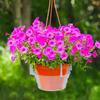 5Pcs Clear Round Plastic Hanging Plant Tray With Built-In Hook Drip Base For Indoor & Outdoor Hanging Baskets 8In 10In 12In