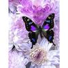 DIY 5D Diamond Painting Butterfly Full Round Drill Diamond Embroidery Flowers Cross Stitch