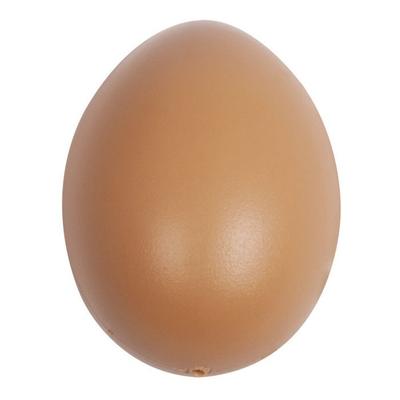Plastic Egg To Decorate - RAYHER - 6 Cm - Beige - 1 Piece