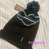 Used Patagonia Knit Hat