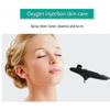 Oxygen Facial  brush Portable Makeup Skin Care Toner   Mist Sprayer Device Lady s Gifts