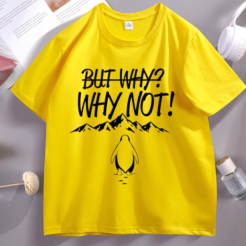 But Why Not Penguin Meme TShirt Brave Penguin Mountain T Shirt Funny Cotton Short Sleeve Tshirt Round Neck Comfortable Tees