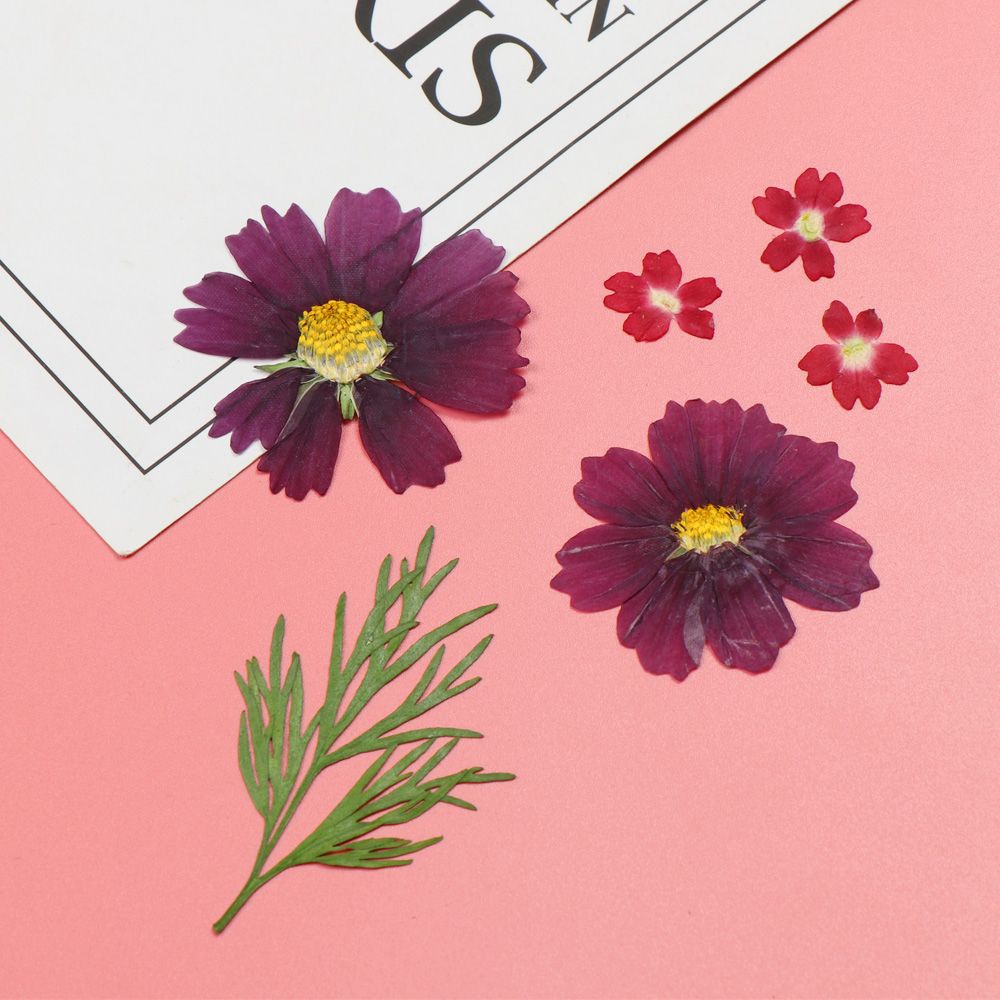 Akcesoria do tworzenia biżuterii Naklejki Wypełniacz żywiczny Suszone kwiaty Forma do żywicy Wypełnianie kwiatów Naklejka Piękno kwiatów