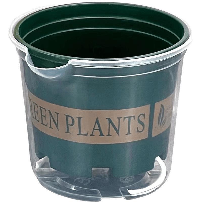 Pothos Transparent Self-Watering Anti-Root Rot Hydroponic Pot