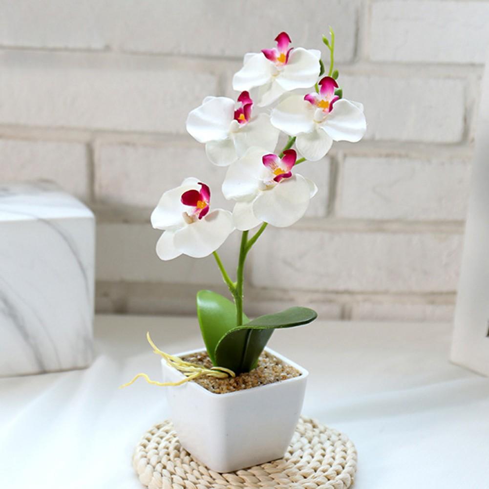 

Потрясающее искусственное цветущее растение в горшке с акцентами из орхидеи фаленопсис