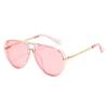 Double Beam Aviator Sunglasses Unisex Fashion Driving Sun Protection Eyewear Lightweight Durable Frame UV Protection Lens
