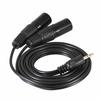WV-9272-1.5B: Two XLR Male To 3.5mm Stereo Mini Plug Unbalanced Line Cable (1.5m, Black)