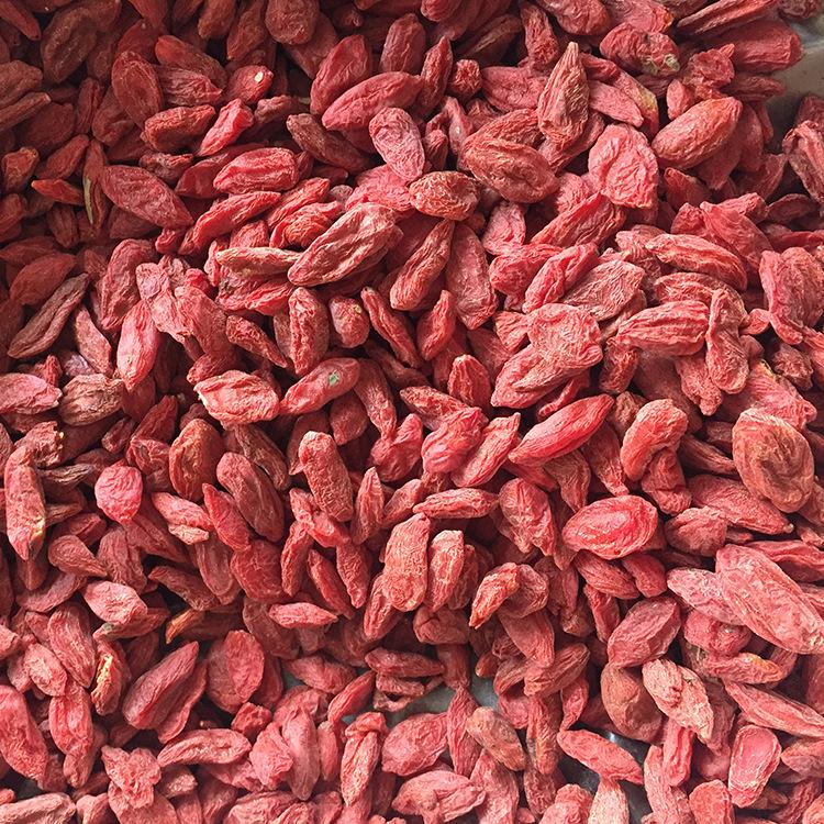 In Stock: Premium Bulk Goji Berries - Large Quantity Available