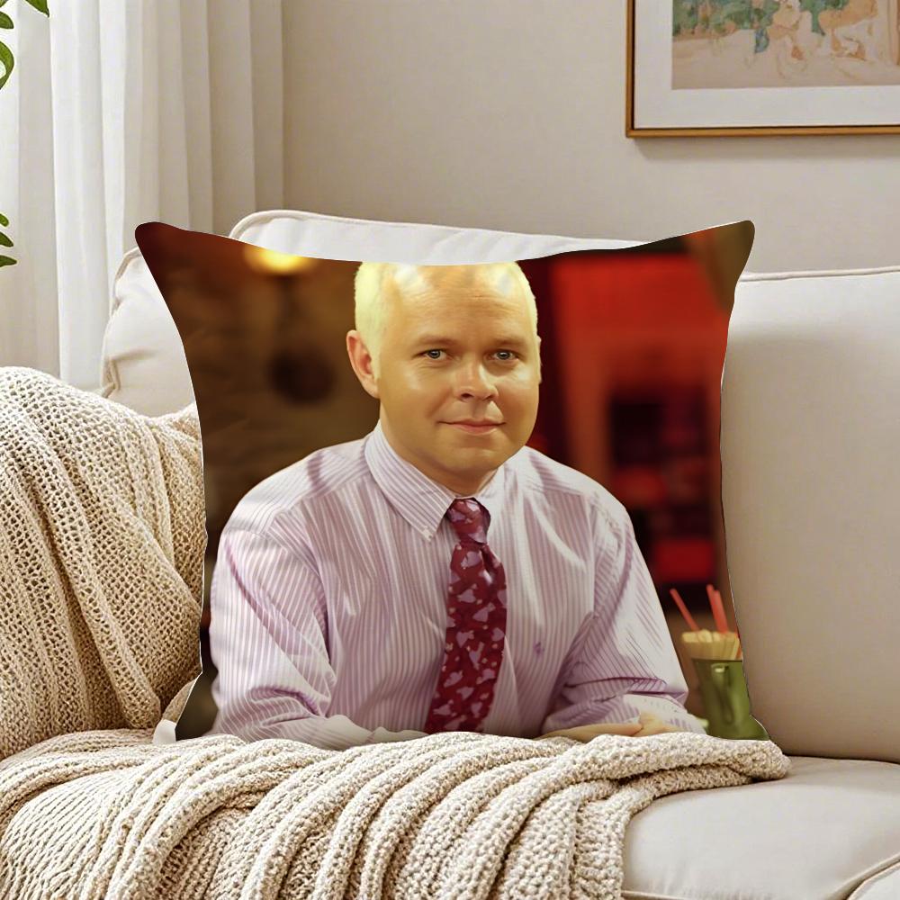 

GGuntherFunny Character Plush Sofa Cushion Cover Pillowcase Antidustmite living Room Sofa Decor Cushion Room 30X30cm