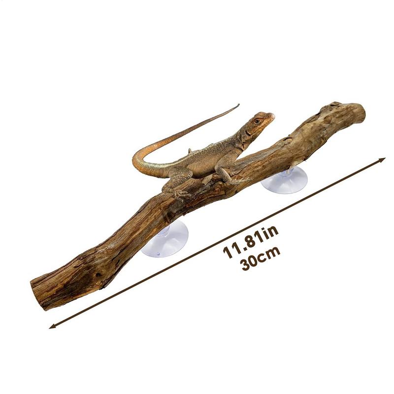 Artificial Branches Reptile Cave Corner Fake Branch Terrarium Plant Decor With Suction Cup Amphibian Lizard Snake Climbing