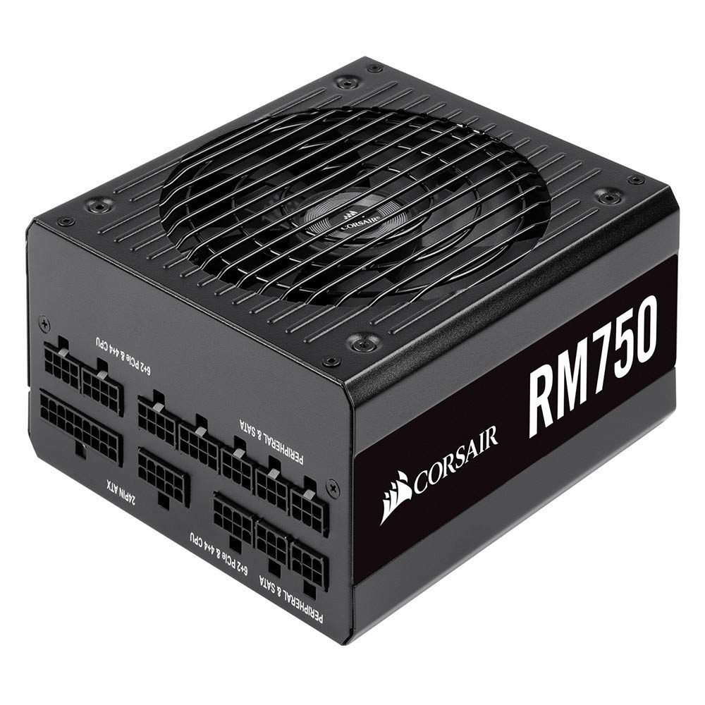 Corsair 750W PC Power Supply Unit 80PLUS GOLD PS862 RM750-2019- CP-9020195-JP