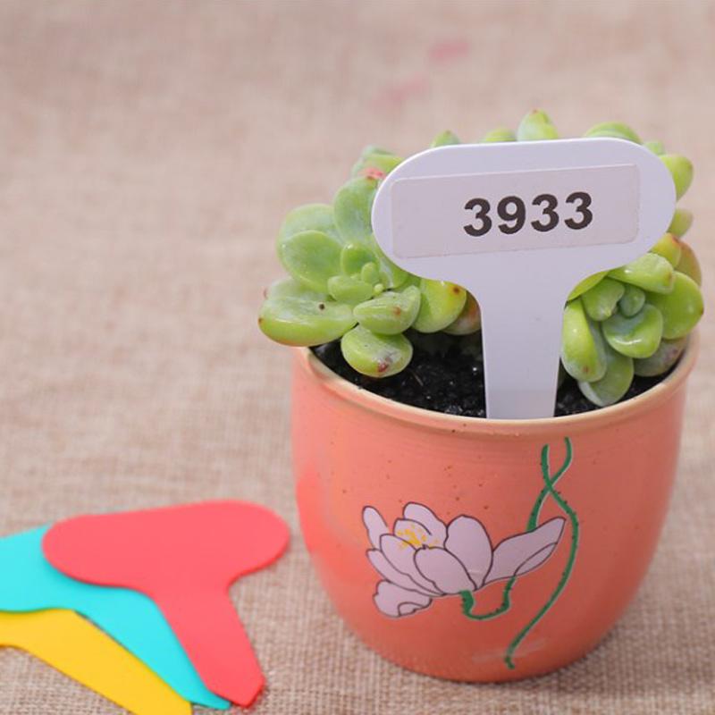 Succulent Potted Plants, Garden Planting, Horticultural Soil Changing Tools, Mini Three Piece Set of Colored Plastic Handle Smal