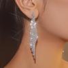 Exquisite Rhinestone Tassel Earrings – Glamorous Long Diamond Drop for Women