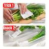 1/2Pcs Refrigerator Storage Boxes with Lid Plastic Fresh Keeping Box Kitchen Scallions Cilantro Eggs Noodles Sealed Container
