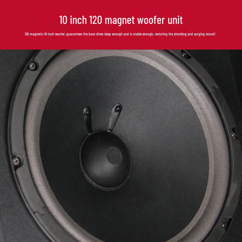 SHILE 10-inch Professional KTV Passive Speaker System