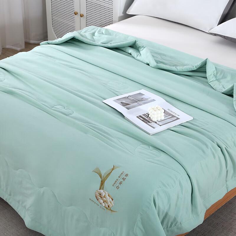 Jin Que Xiang Silky Soft Breathable Summer Quilt