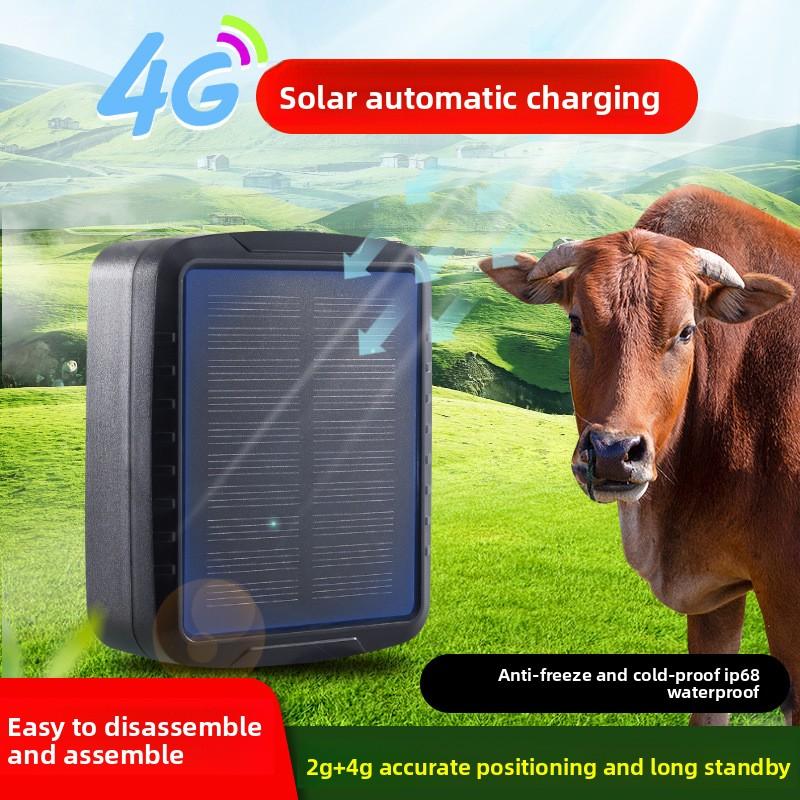 4G Solar GPS Livestock Tracker Remote Anti-Lost Tracking Device for Cattle Sheep Pasture Grazing Positioning Pet Products