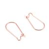 Nice Stainless Steel Ear Hook Assembly DIY Titanium Steel Earrings Findings 18k Gold-plated Earring Decorative Hardware