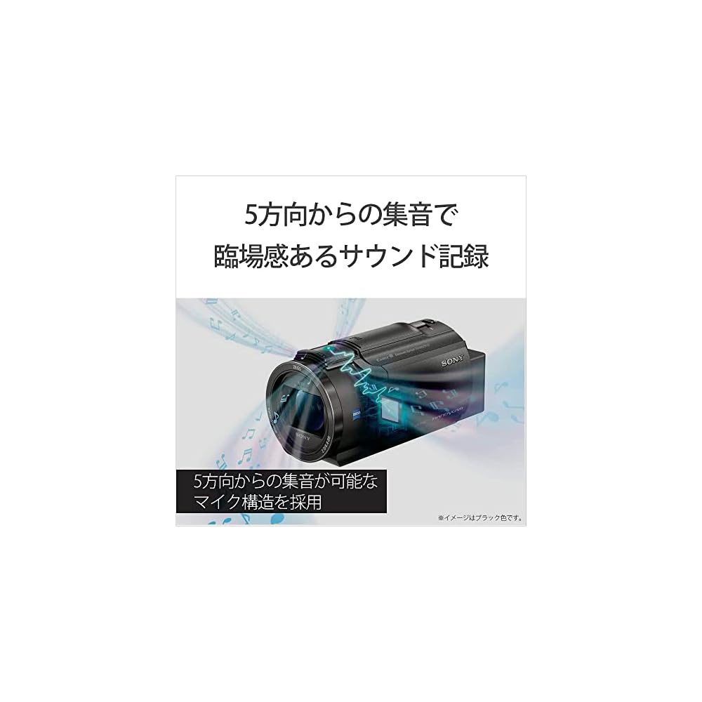 Sony Handycam FDR-AX45A 4K Video Camera 64GB Memory 20x Optical Zoom Black