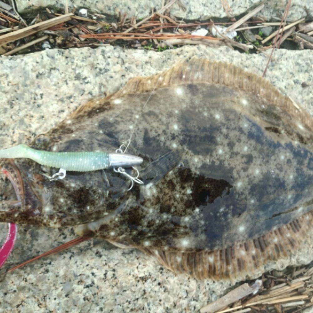 MARS SM-75 Onuma Orange