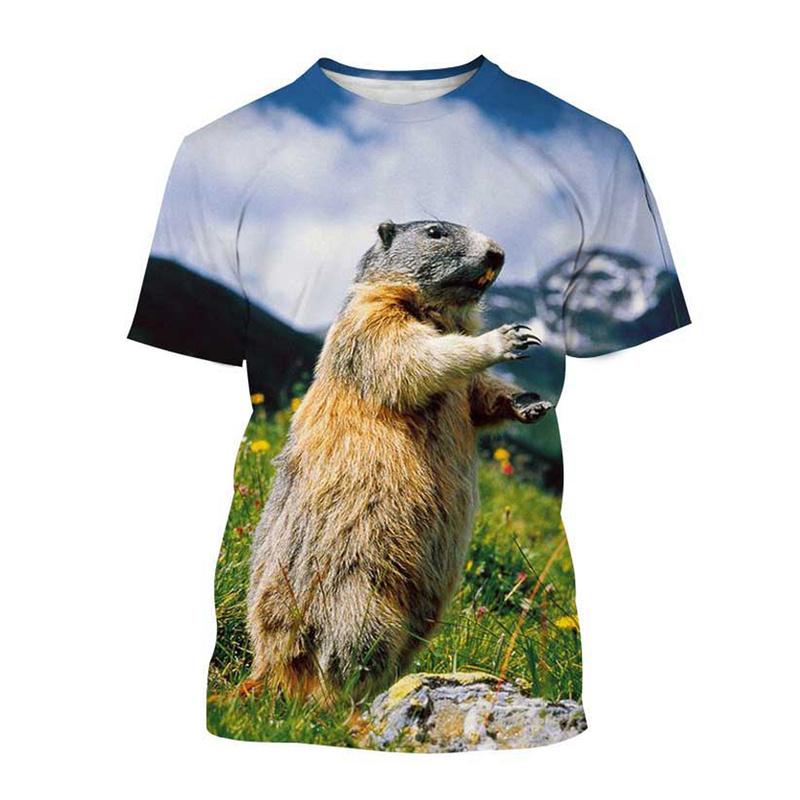 Cute Animal Groundhog 3d Printing T Shirt For Men Kids Casual Street Short-sleeved T-shirt Tops Summer Street Oversized Tees
