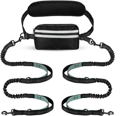 Cani – Collari e guinzagli per cani