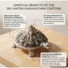Divine Ashtalakshmi Tortoise Décor for Prosperity & Positive Energy