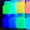 Glow in the Dark Paint,Acrylic Paint for Decorations,Art Painting Rich Pigments