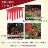 nijimomo Miniature Torii Gate Diorama Set 8 Shrine Model Aquarium (10 pieces, pieces), Kit, Craft, Japanese-Style (8, 3x3.8cm)