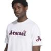 Arsenal Unisex Adult Cotton Crew Neck Short-Sleeved T-Shirt