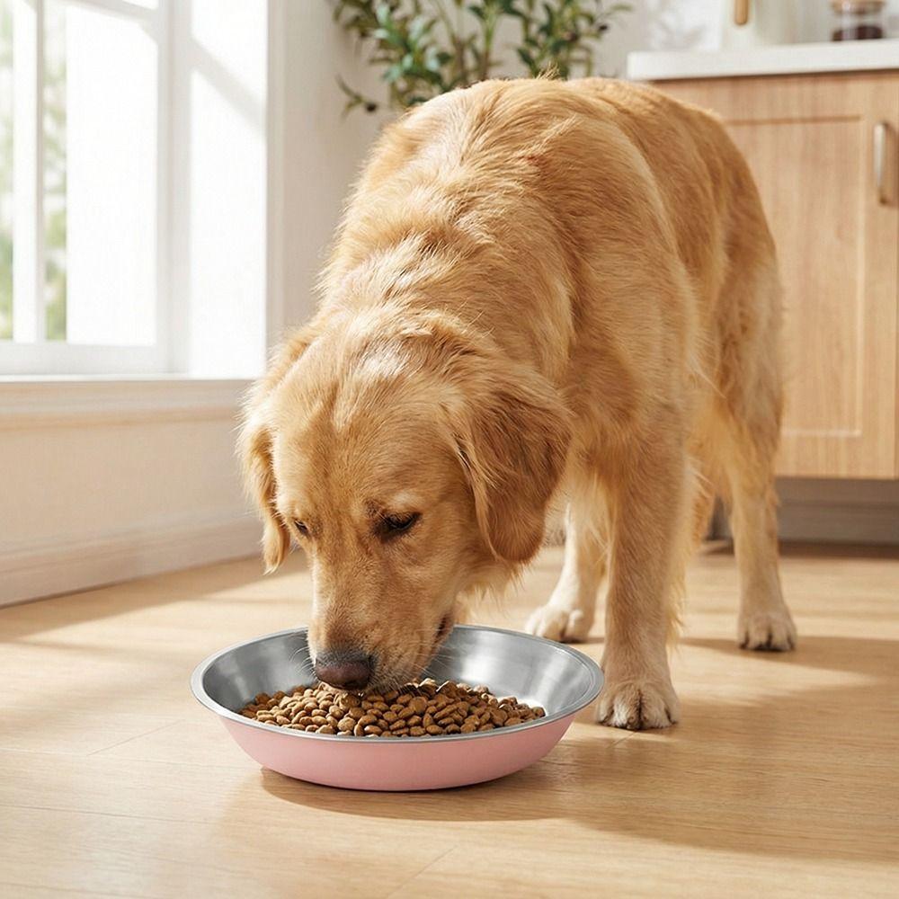 Non-slip Stainless Steel Dog Bowl Wide Mouth Cats Water Feeder  Pet Drinking Feeding