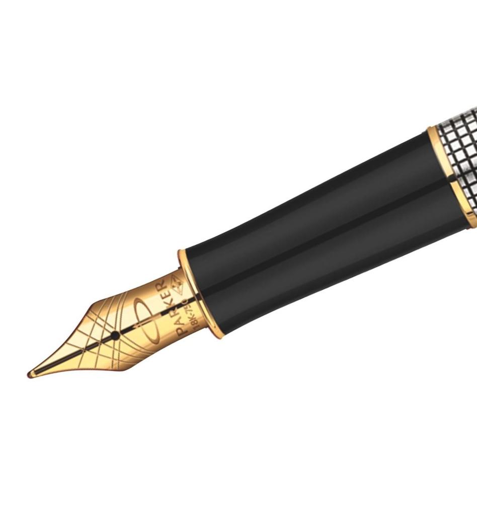 Parker Sonnet Precious Sizzle GT Fountain Medium Officially Imported Pen, Nib, S1114123,