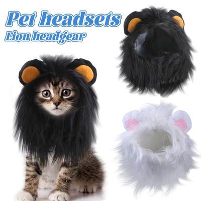 Funny Pet Costumes, Cats And Dogs Transformed Into Funny Holiday Costumes, Wild Hats And Headgear