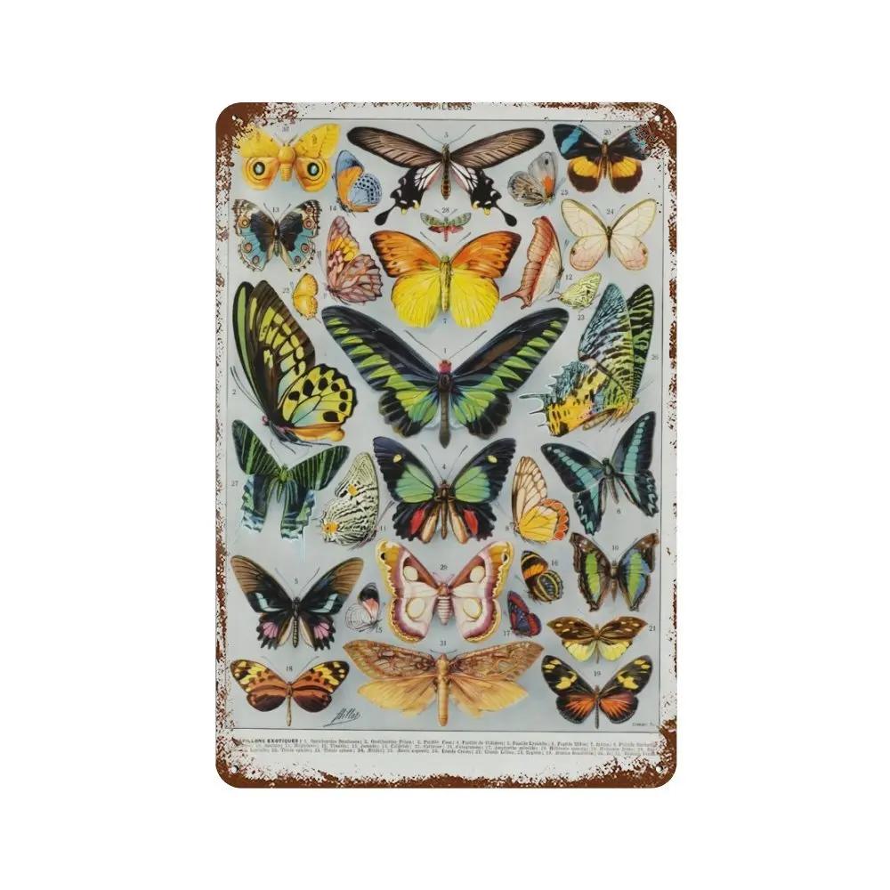 Vintage Pilz Medizin Blume Insekt Schmetterling Gemüse Kürbis Karotte Metall Aluminium Schilder Heim Zimmer Garten Wandkunst Pla