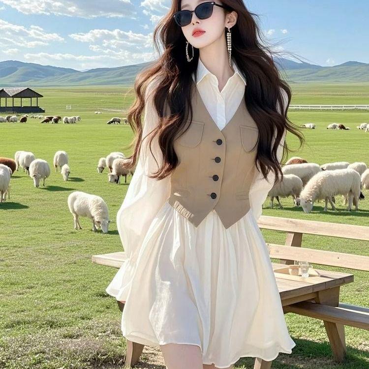 2026 Patchwork Two-Piece French Elastic Waist Dress Skirt - Beautiful Spring Shirt Combo Small