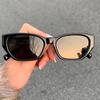 Cat Eye Sunglasses for Women Man Y2K New Fashion Sun Glasses Vintage Shade Summer Polygonal Small FrameEyewear