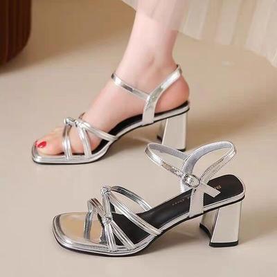 French Silver Sandals Women's 2025 Spring New Fashion Thick Heel High Sense Shoe Temperament Word with High Heels