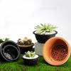 Large New Succulent Pot Plastic Round Succulent Flower Pot Dwarf Pot