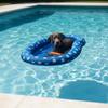 Hundespielzeug Aufblasbarer Pool-Schwimmer für Hund & Katze Schwimmendes Floß für großes Haustier im Sommer PVC-Whirlpool