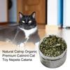 Natural Catnip Organic Premium Catmints Cat Toy Cataria For Eliminating Cats Hairballs Absorbing Foods Vitamin Supplement